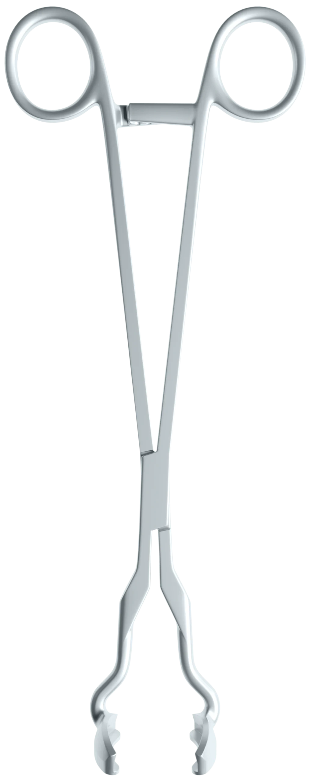 Segi Tullo